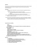 OBJETIVO DE SEMILLITA