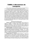 Mecanismos de transporte celular y Energía de Gibbs