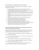 INFORME PROYECTO DE ENSEÑANZA