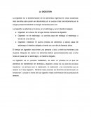 La Digestion en Resumen
