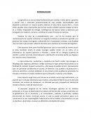 Proyecto: siembra y cultivo del tomate “perita”