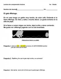 Comprensión lectora. El gato Misingo. Página 1