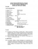 SILABO Y PLANES DE APRENDIZAJE