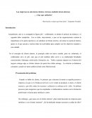 Ensayo Cliente Interno