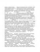 Iper trabajo demolicion puente