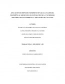 APLICACIÓN DE DISEÑO DE EXPERIMENTOS PARA EL ANÁLISIS DEL DESEMPEÑO ACADÉMICO DE LOS ESTUDIANTES DE LA UNIVERSIDAD INDUSTRIAL DE SANTANDER EN LA ASIGNATURA DE CÁLCULO II