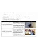 Observacion de Piaget.Observación de la conducta y la interpretación teórica, correspondiente