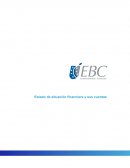 Estado de situación financiera y sus cuentas