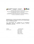 PROMOCIÓN DE LA TERAPIA OCUPACIONAL COMO DISCIPLINA EN PRO DE MEJORAR LA CALIDAD DE VIDA DE LOS TRABAJADORES PARA UN ÓPTIMO DESEMPEÑO