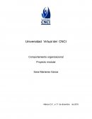 Comportamiento organizacional. Conducta individual, grupal y organizacional