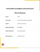 Ensayo sobre los deberes profesionales