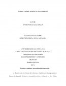 Herencia vs ambiente: una problemática innecesaria