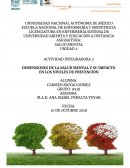 DIMENSIONES DE LA SALUD MENTAL Y SU IMPACTO EN LOS NIVELES DE PREVENCIÓN