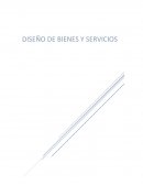 Diseño de un servicio novedoso en el mercado