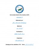 ﻿Importancia del precio en la mezcla de la mercadotecnia