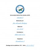 El Análisis crítico del Caso: ¿Esta reemplazando el Internet a los periódicos locales?