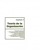 Organizacion Teoria y Practica