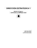 Modelo de negocio: CANVAS DE LA EMPRESA TOUS