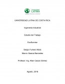 Estudio del Trabajo EcoSunrise