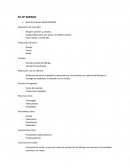 Business Canvas Model MANGO