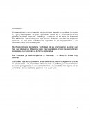 Diversidad y similitud en las organizaciones