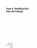 FASE 6: PLANIFICACIÓN: PLAN DE TRABAJO