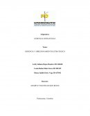 GERENCIA Y DIRECIONAMIENTO ESTRATEGICO