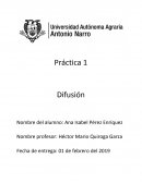 Práctica 1 Difusión