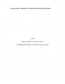 Confromacion de los Gobiernos Autonomos Descentralizados