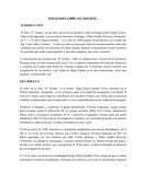 ENSAYO LIBRO EL TESTIGO