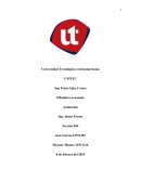 Ofimática avanzada Animación