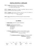 APUNTES GRAMÁTICA Y MORFOLOGÍA