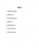 La reinserción es un problema en México