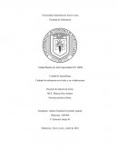 Pae Pediatria. Cuidado de enfermería en el niño y en el adolescente