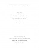 Comprendo mi mundo a traves de los pictogramas