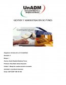 Gestión y Administración de PyMES. Libro auxiliar mayor de bancos
