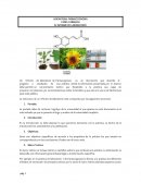 Glosario de terminos usados en farmacognosia