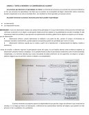 UNIDAD 2: “ENTRE LA MEMORIA Y LA COMPRENSION DEL ALUMNO“