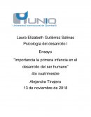 Importancia la primera infancia en el desarrollo del ser humano