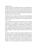 ESCLAVAS DE LA CALLE SULLIVAN