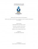 PERFIL DEL PROYECTO EN LA COMUNIDAD LA LIMA EN TAMANIQUE, DEPARTAMENTO DE LA LIBERTAD