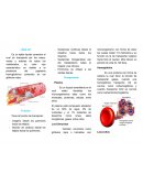 La sangre