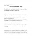 ENSAYO ESTRATEGIA SEGÚN MICHAEL E. PORTER