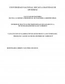 INFORME DE PRÁCTICAS PRE PROFESIONALES REALIZADO EN LA MUNICIPALIDAD DISTRITAL DE TAMBURCO