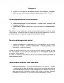 Preguntas de investigacion derechos humanos