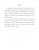 Sector Real de la Economia