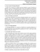 Trabajo práctico Antropología