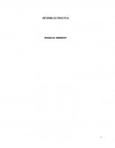 INFORME DE PRÁCTICA ROGELIO KENNEDY