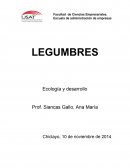 LEGUMBRES