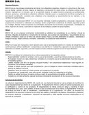Administracion de empresas. BRICK S.A. Resumen ejecutivo